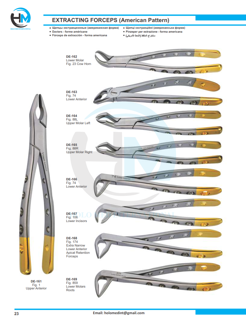 Holomed International